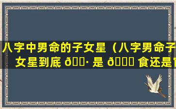 八字中男命的子女星（八字男命子女星到底 🕷 是 🐋 食还是官）